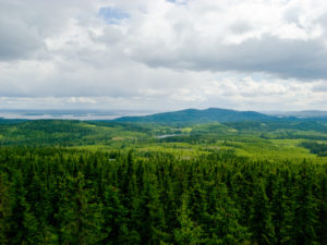 Maisemakuva Räsävaaran näkötornista Kolin maisemiin