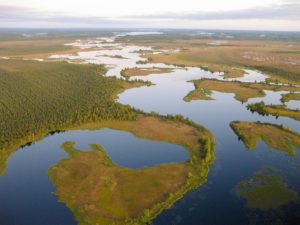Kuva Koitajoesta, jossa näkyy meanderoiva joki