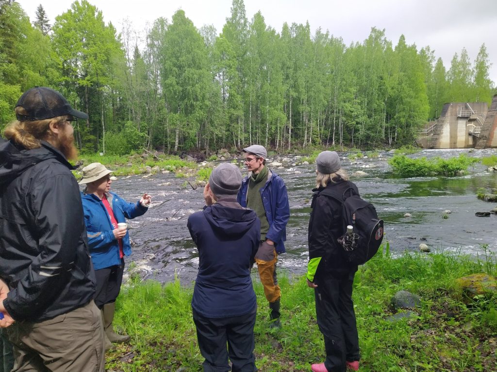 Koitajoki-Koitere foorumin osallistujia Hiiskosken varrella tutustumassa virrassa tehtyihin virtavesikunnostuksiin. Oikealla taustalla Hiiskosken pato.
