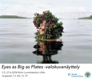 Naisen pää nousee vedestä ja siinä on puolukoita.