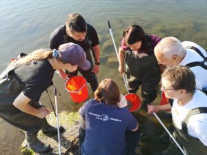 ihmisiä katselee ringissä ämpäriin