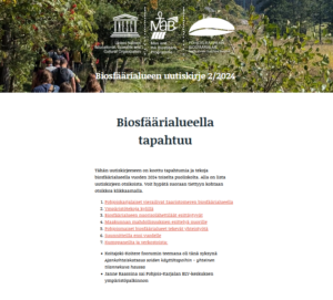 kuvakaappaus uutiskirjeen etusivusta