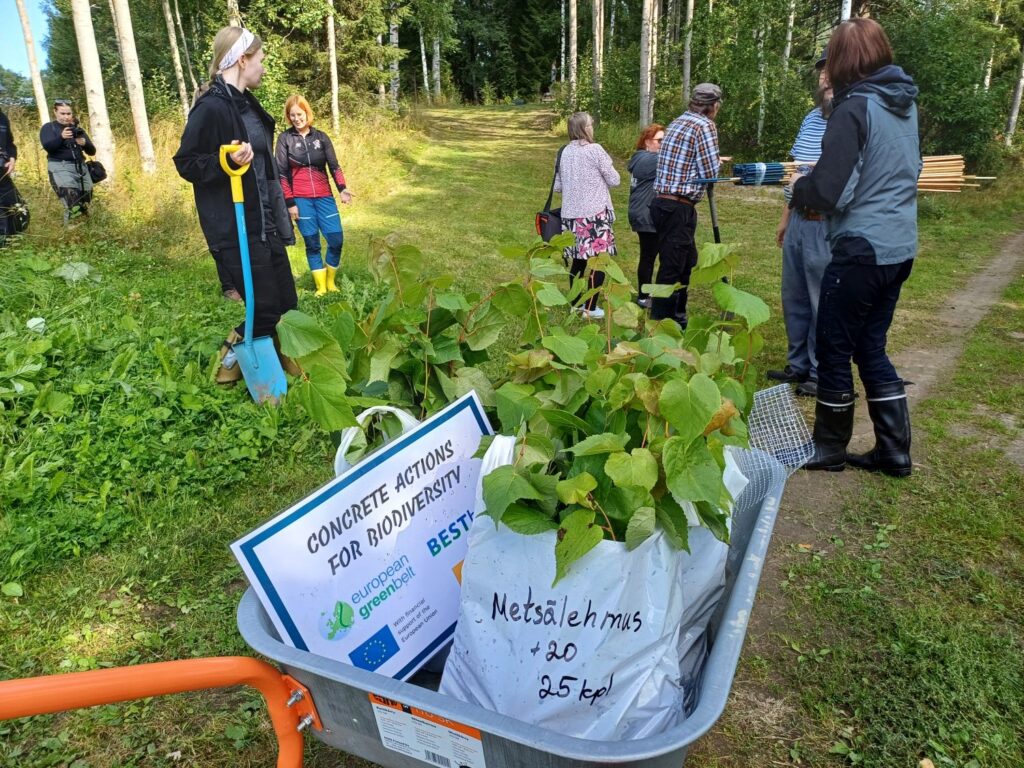ihmisiä ja puun taimia