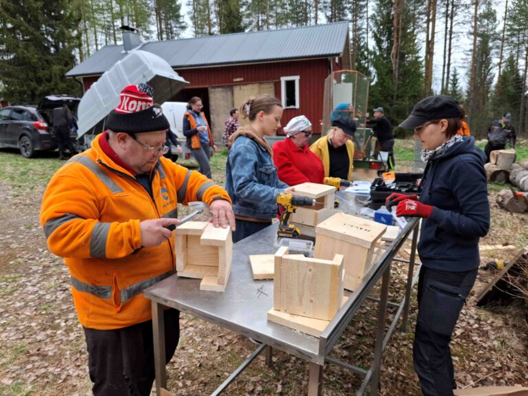 ihmiset rakentavat linnunpönttöjä