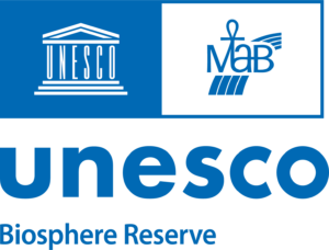 Unesco logo